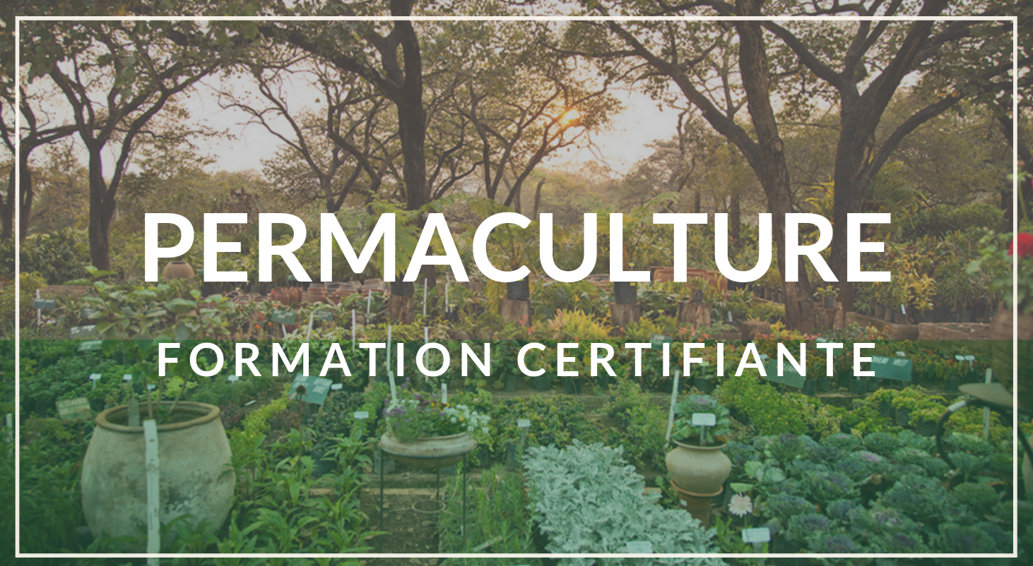 Permaculture 1